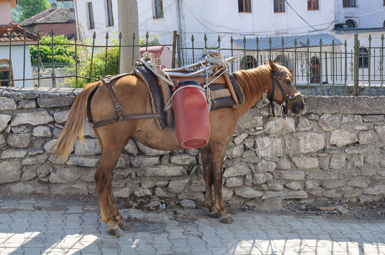 Transportiert wird vieles mit dem Pferd.