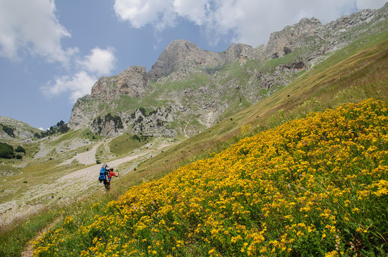 Hier oben blühen noch viele Blumen