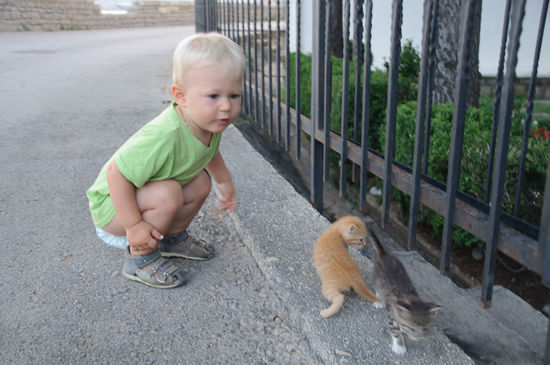 Aber noch interessanter sind die kleinen Katzen, die vor dem Campingplatz herumlaufen.