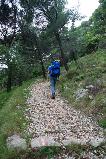 Dann weiter zu Fuß auf einem schönen Weg durch den Wald