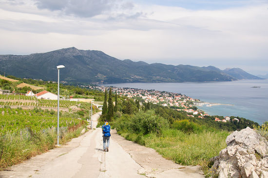 Und wieder nach unten, diesmal über die Strasse, weil wir vor lauter schauen die Abzweigung in den Wald versäumt haben.