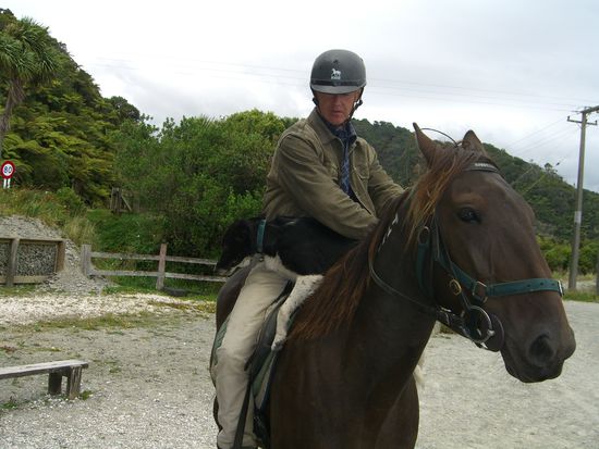 Reitausflug: hund darf auch reiten 