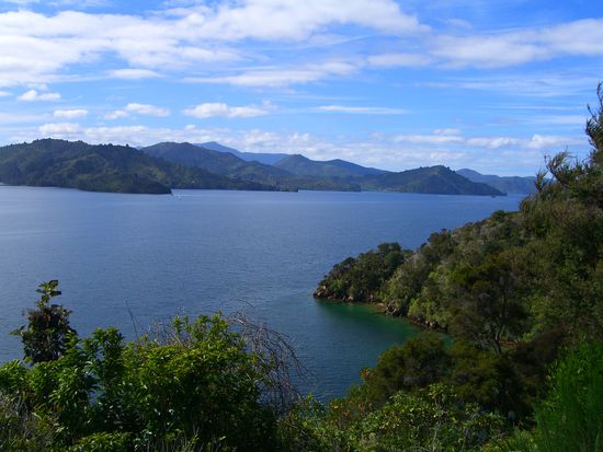 Marlborough sounds
