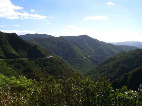 Weg nach Taupo-so geschlaengelt gings fast die ganze zeit