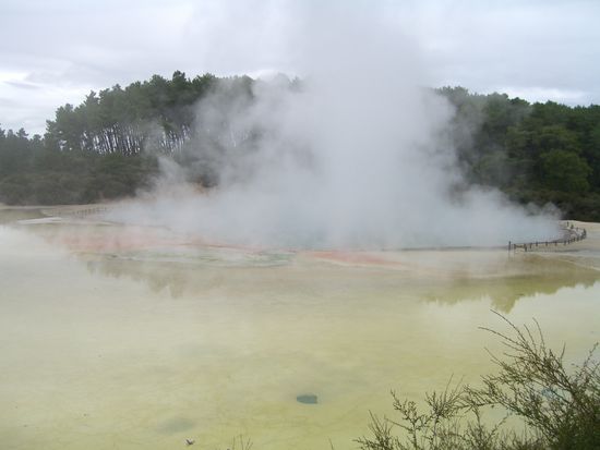 in so manchem wasser haette man eier kochen koenne  jetzt weiss ich auch, warum die maori in erdloechern kochen - da ist es einfach schon warm