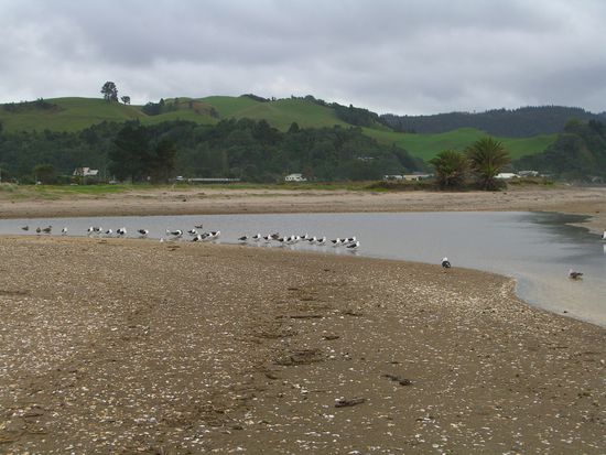 noch ein strandspaziergang, wenigstens hat es zum regnen aufgehoert.