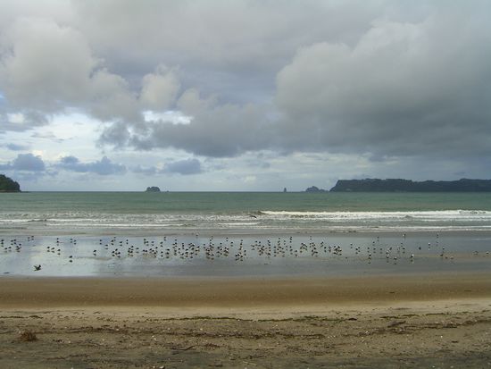 und langsam hat es aufgeklaert 