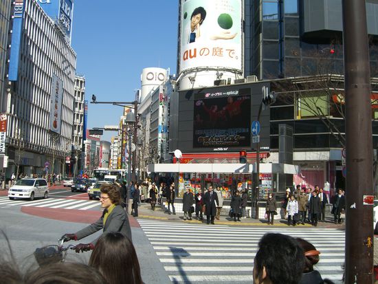 Shibuya- von diesen riesigen screens kommt von allen Seiten Werbung, es ist ziemlich laut, trotzdem empfinde ich einen Einkaufssamstag auf der Mariahilfer Strasse bei uns schlimmer... in Japan stossen dich keine Menschen um  Und man beachte, wie sauer alles ist!!!