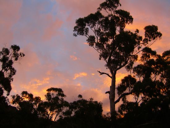 Abendstimmung - kitschig, ich weiss