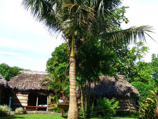 outrigger Hotel, da hab ich drin geschlafen 