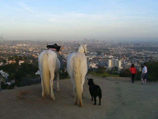 Das war so witzig. Wir sind da oben gestanden und ploetzlich kommt da eine mit zwei weissen pferden angaloppiert und ne schwarze ziege im schlepptau. Das war ein bild fuer goetter