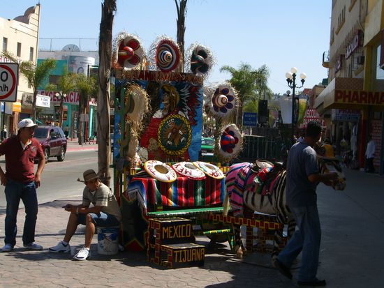 an bemalter Esel, ebenfalls in Tijuana