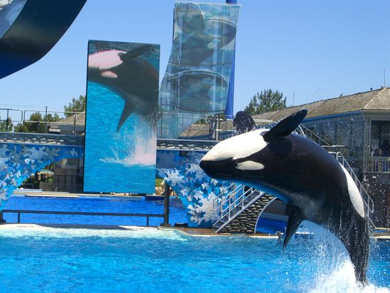 so genial die spruenge