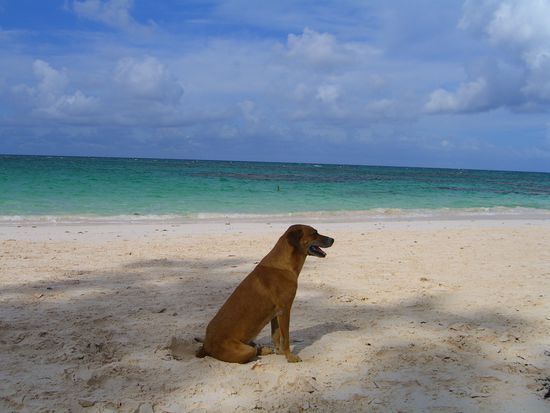 good-bye Insel zum traeumen 