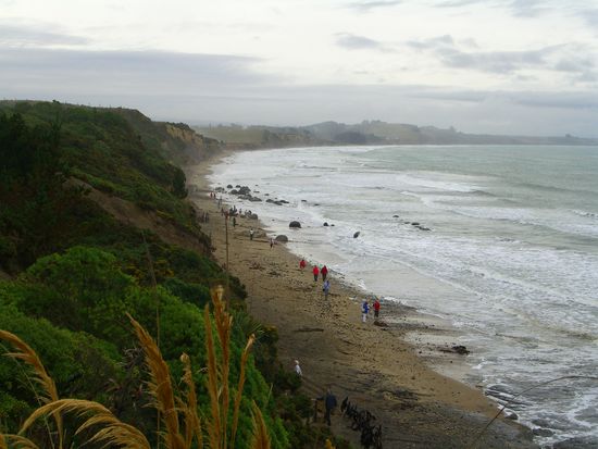 Mouraki Bolders-diese runden riesigen steine da... die Maori denken, das sind vorratsbehaelter...