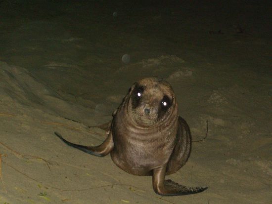 die baby-sooooo suess!!!