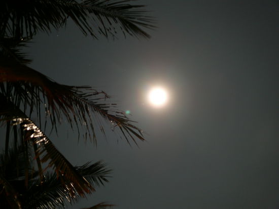 Der allseits beliebte Vollmond hier auf Ko Phangan