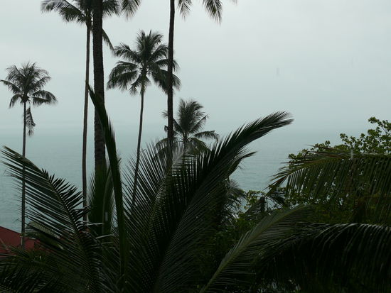 Blick von meinem Balkon. Blick auf Coral Cove