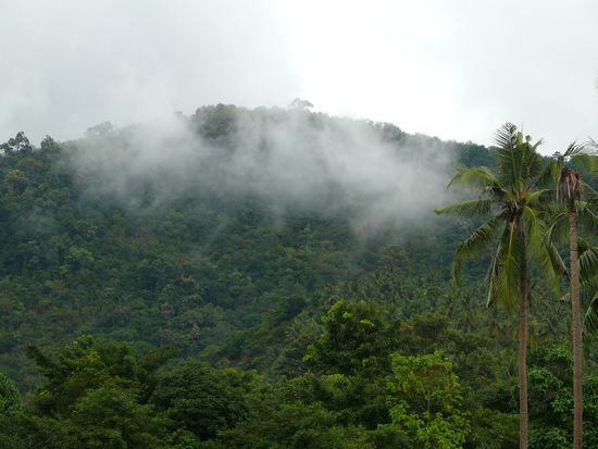 Man kann die Feuchtigkeit so richtig spueren