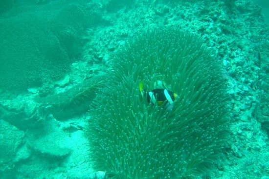 traumhafte Sichtverhältnisse