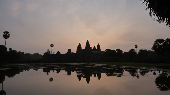 Das Aufstehen hat sich gelohnt