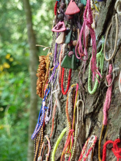 Killing Tree - als man den Ort hier fand, waren lauter Haare und Hirnmasse von Kindern an den Baum. Man hat die Kinder an den Beinen gepackt und so lange gegen den Baum geschlagen bis sie tod waren.