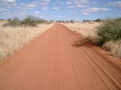 Fahrt durch die Kalahari