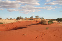 Kalahari
