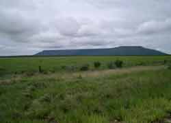 Waterberg Plateau