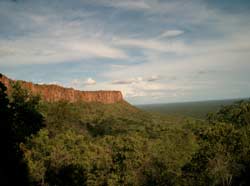 Waterberg