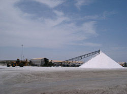 Saline auf dem Weg zum Pelican Point