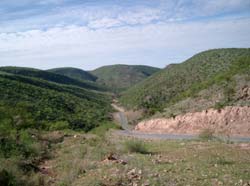 Kaokoveld