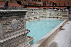 Siena: Fonte Gaia auf dem Piazza del Campo