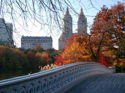 Central Park im Herbst