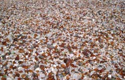Glass Beach