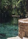 Mataranka Pool Nature Park