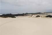 Henty Sand Dunes