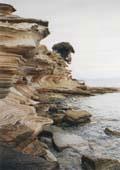 Painted Cliffs - Maria Island National Park