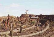 Jardin de Cactus