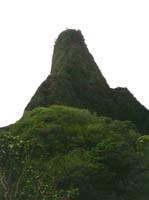 Ioa Needle