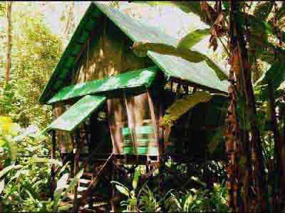 "Almonds & Corals Lodge" im Gandoca Manzanillo Wildlife Refuge