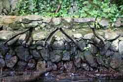 Chorros de Epina