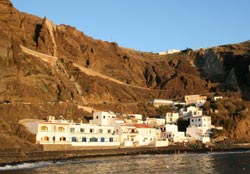 Alojera