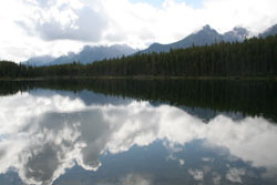 Herbert Lake