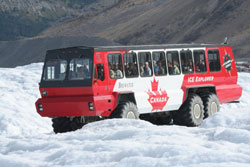 Ice Explorer Tour