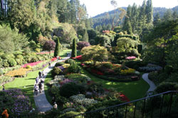 Butchart Gardens