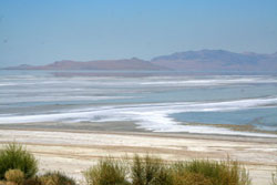 Salt Lake - Antelope Island