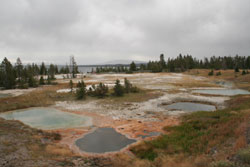 West Thumb Geyser Basin