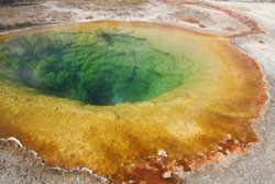 Morning Glory Pool