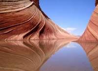 The Wave